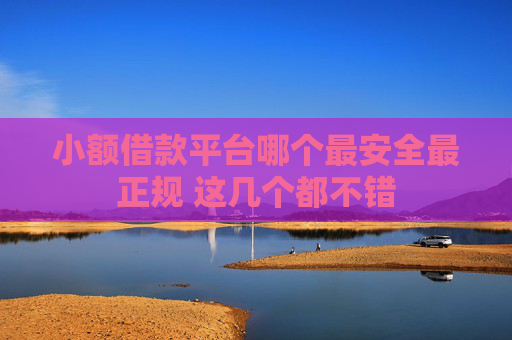 小额借款平台哪个最安全最正规 这几个都不错