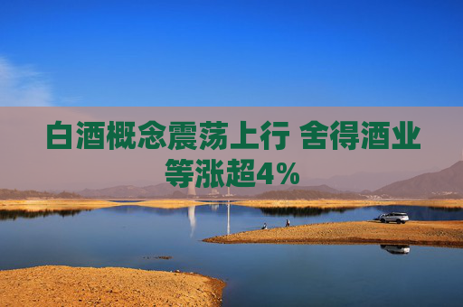 白酒概念震荡上行 舍得酒业等涨超4%