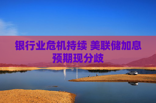银行业危机持续 美联储加息预期现分歧