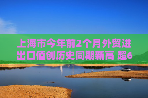 上海市今年前2个月外贸进出口值创历史同期新高 超6810亿元