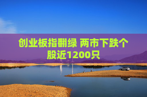 创业板指翻绿 两市下跌个股近1200只