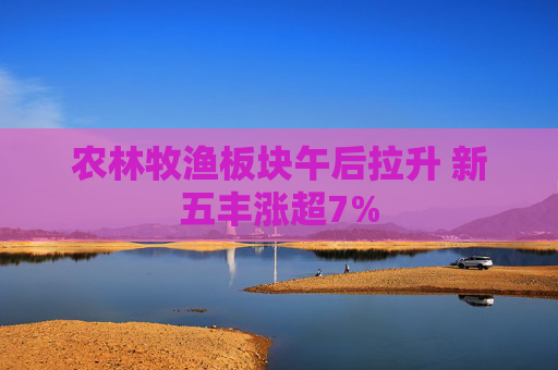 农林牧渔板块午后拉升 新五丰涨超7%