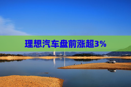 理想汽车盘前涨超3%