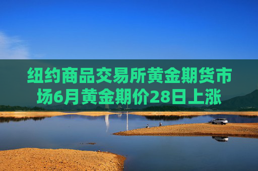 纽约商品交易所黄金期货市场6月黄金期价28日上涨