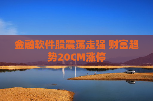 金融软件股震荡走强 财富趋势20CM涨停