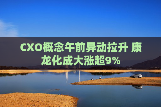 CXO概念午前异动拉升 康龙化成大涨超9%