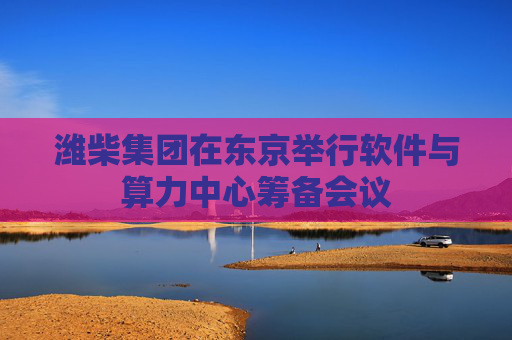 潍柴集团在东京举行软件与算力中心筹备会议
