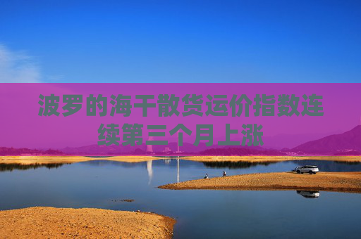 波罗的海干散货运价指数连续第三个月上涨