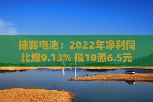 德赛电池：2022年净利同比增9.13% 拟10派6.5元