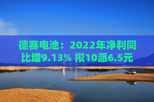德赛电池：2022年净利同比增9.13% 拟10派6.5元