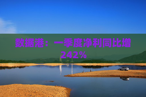 数据港：一季度净利同比增242%