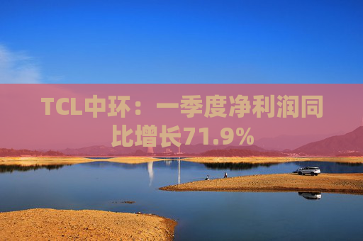 TCL中环：一季度净利润同比增长71.9%