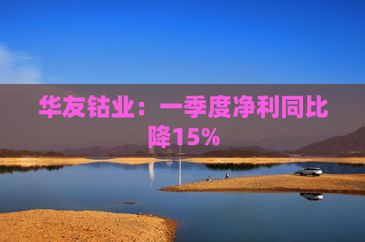 华友钴业：一季度净利同比降15%