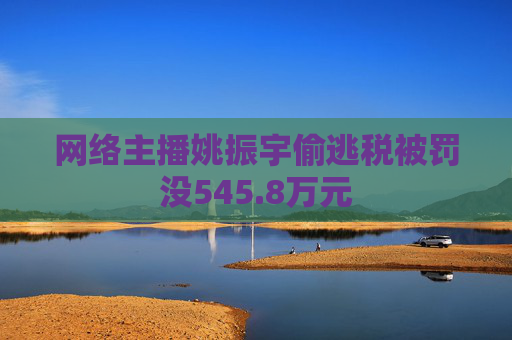 网络主播姚振宇偷逃税被罚没545.8万元
