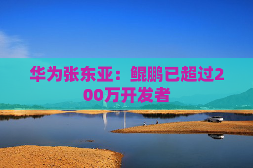 华为张东亚：鲲鹏已超过200万开发者