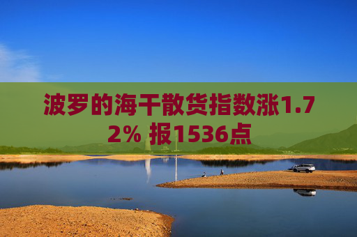 波罗的海干散货指数涨1.72% 报1536点