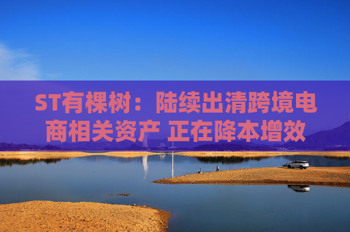 ST有棵树：陆续出清跨境电商相关资产 正在降本增效并偿债