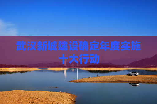 武汉新城建设确定年度实施十大行动