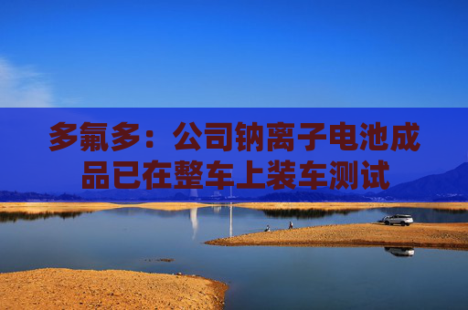 多氟多：公司钠离子电池成品已在整车上装车测试