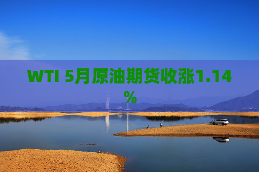 WTI 5月原油期货收涨1.14%