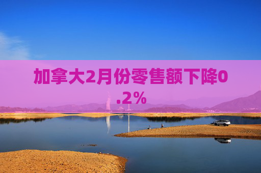 加拿大2月份零售额下降0.2%