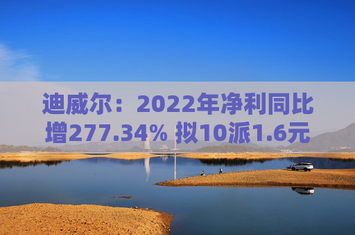 迪威尔：2022年净利同比增277.34% 拟10派1.6元