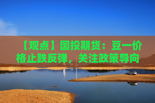 【观点】国投期货：豆一价格止跌反弹，关注政策导向影响