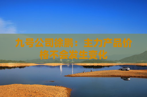 九号公司徐鹏：主力产品价格不会发生变化