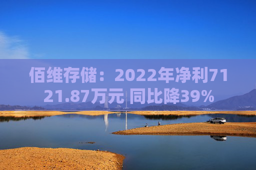 佰维存储：2022年净利7121.87万元 同比降39%