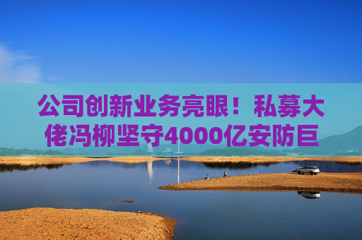 公司创新业务亮眼！私募大佬冯柳坚守4000亿安防巨头