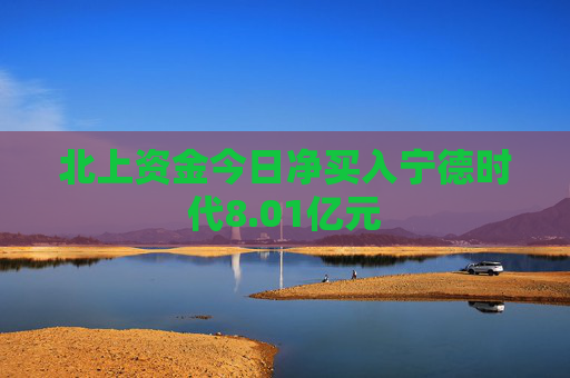 北上资金今日净买入宁德时代8.01亿元