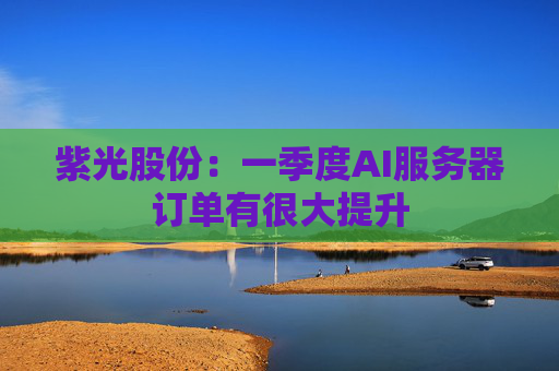 紫光股份：一季度AI服务器订单有很大提升