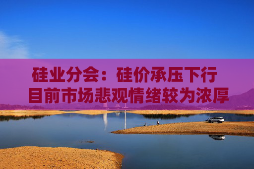 硅业分会：硅价承压下行 目前市场悲观情绪较为浓厚