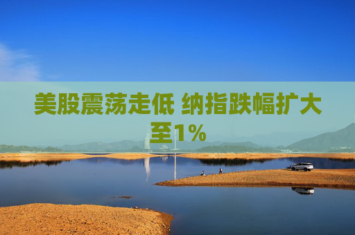 美股震荡走低 纳指跌幅扩大至1%