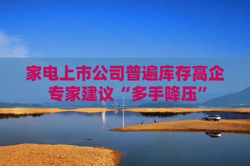 家电上市公司普遍库存高企 专家建议“多手降压”