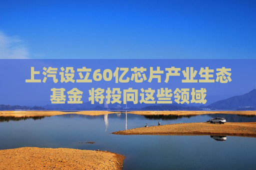 上汽设立60亿芯片产业生态基金 将投向这些领域