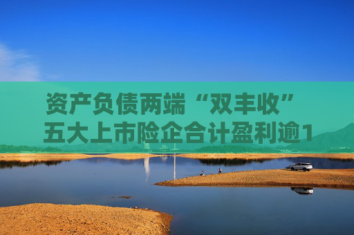 资产负债两端“双丰收” 五大上市险企合计盈利逾1780亿元