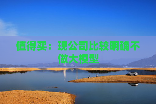 值得买：现公司比较明确不做大模型