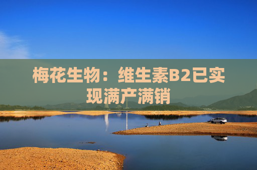梅花生物：维生素B2已实现满产满销