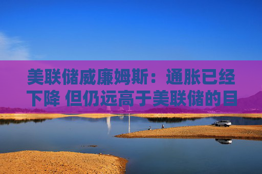 美联储威廉姆斯：通胀已经下降 但仍远高于美联储的目标