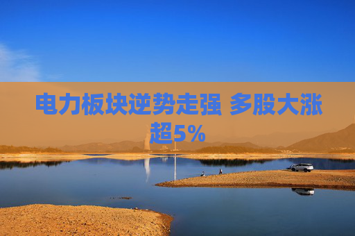电力板块逆势走强 多股大涨超5%
