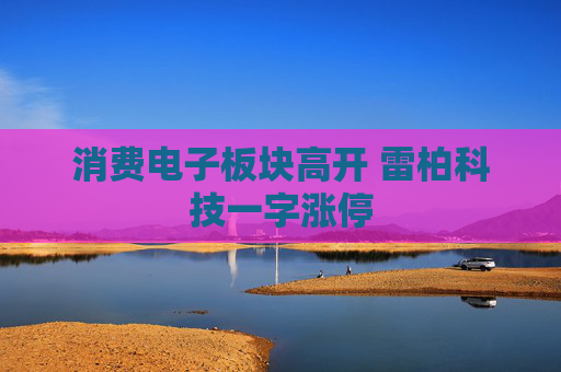 消费电子板块高开 雷柏科技一字涨停
