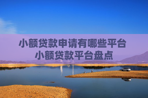 小额贷款申请有哪些平台 小额贷款平台盘点