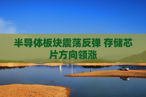 半导体板块震荡反弹 存储芯片方向领涨