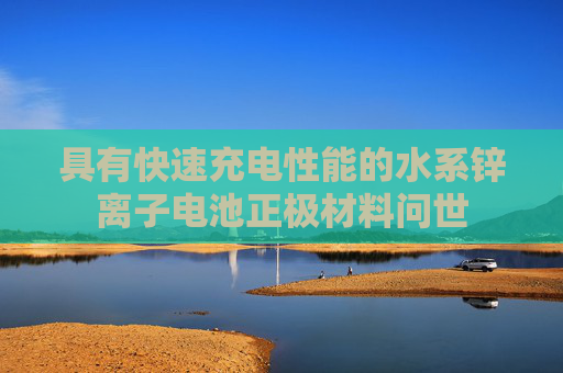 具有快速充电性能的水系锌离子电池正极材料问世