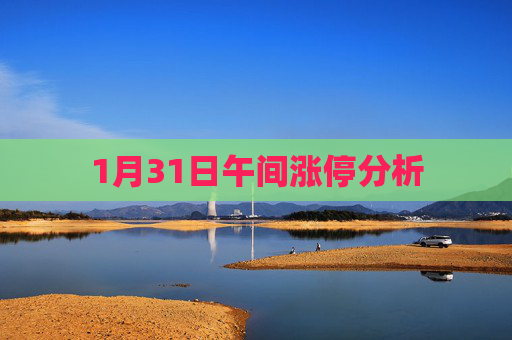 1月31日午间涨停分析