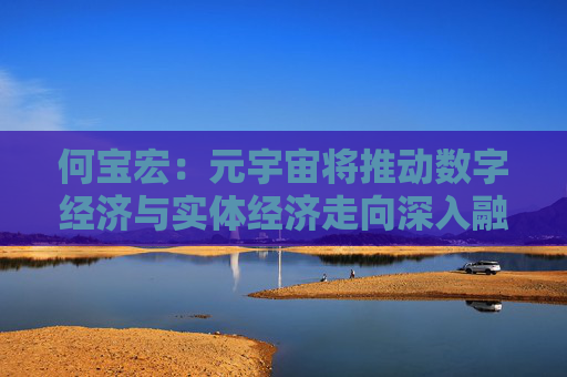 何宝宏：元宇宙将推动数字经济与实体经济走向深入融合