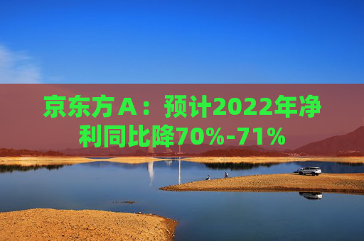 京东方Ａ：预计2022年净利同比降70%-71%