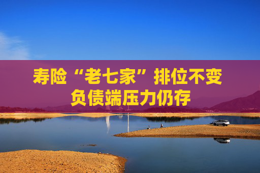 寿险“老七家”排位不变 负债端压力仍存