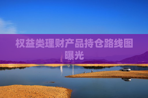 权益类理财产品持仓路线图曝光